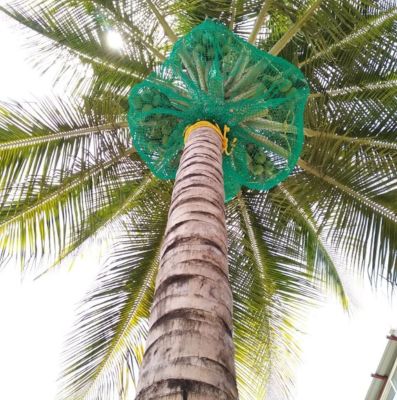Coconut Tree Safety Nets in Bangalore | Fall Protection Nets Price