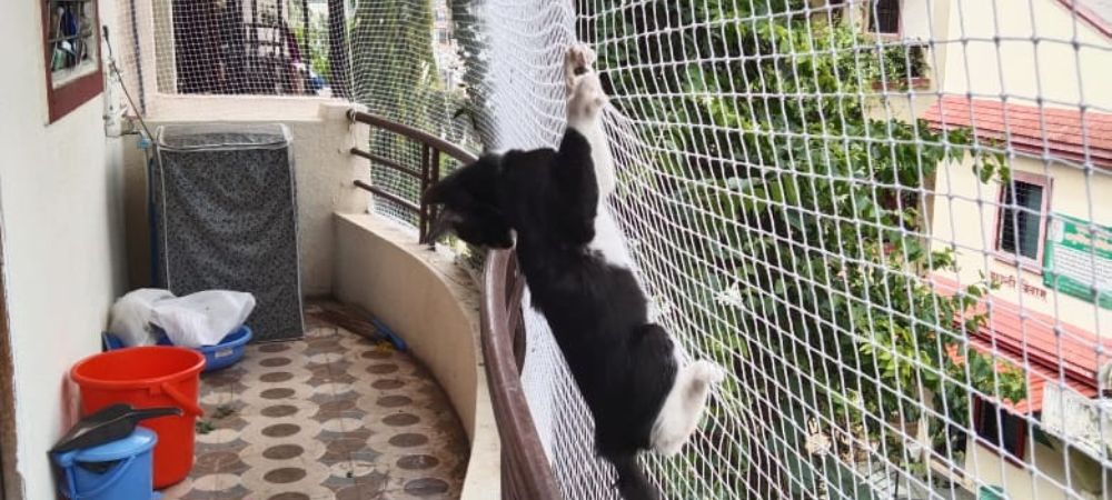 Pet Safety Nets in Bangalore | Monkey Safety Nets for Balconies